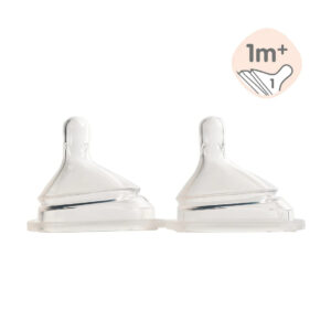 Hegen Teat Slow Flow, 2-Pack (1 to 3 Months)